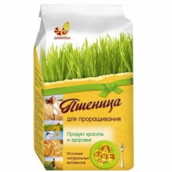 Зерно пшеницы 500 г для проращивания
